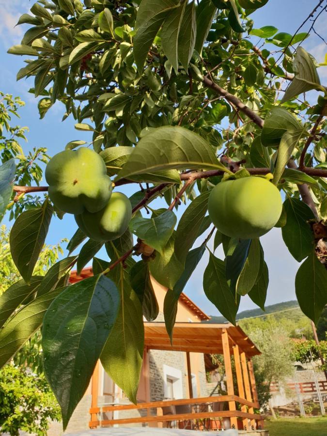 EleftheroupoliMavridis House别墅 外观 照片