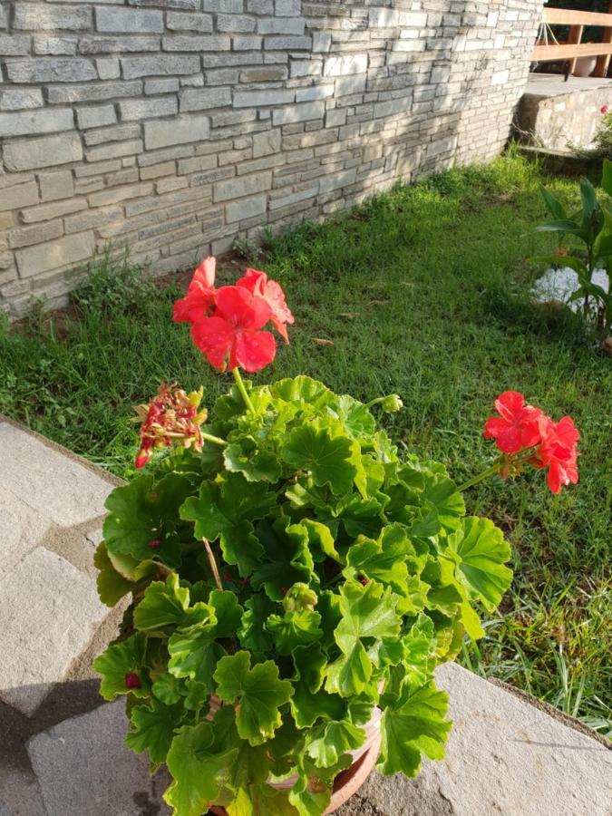 EleftheroupoliMavridis House别墅 外观 照片