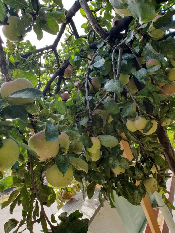 EleftheroupoliMavridis House别墅 外观 照片